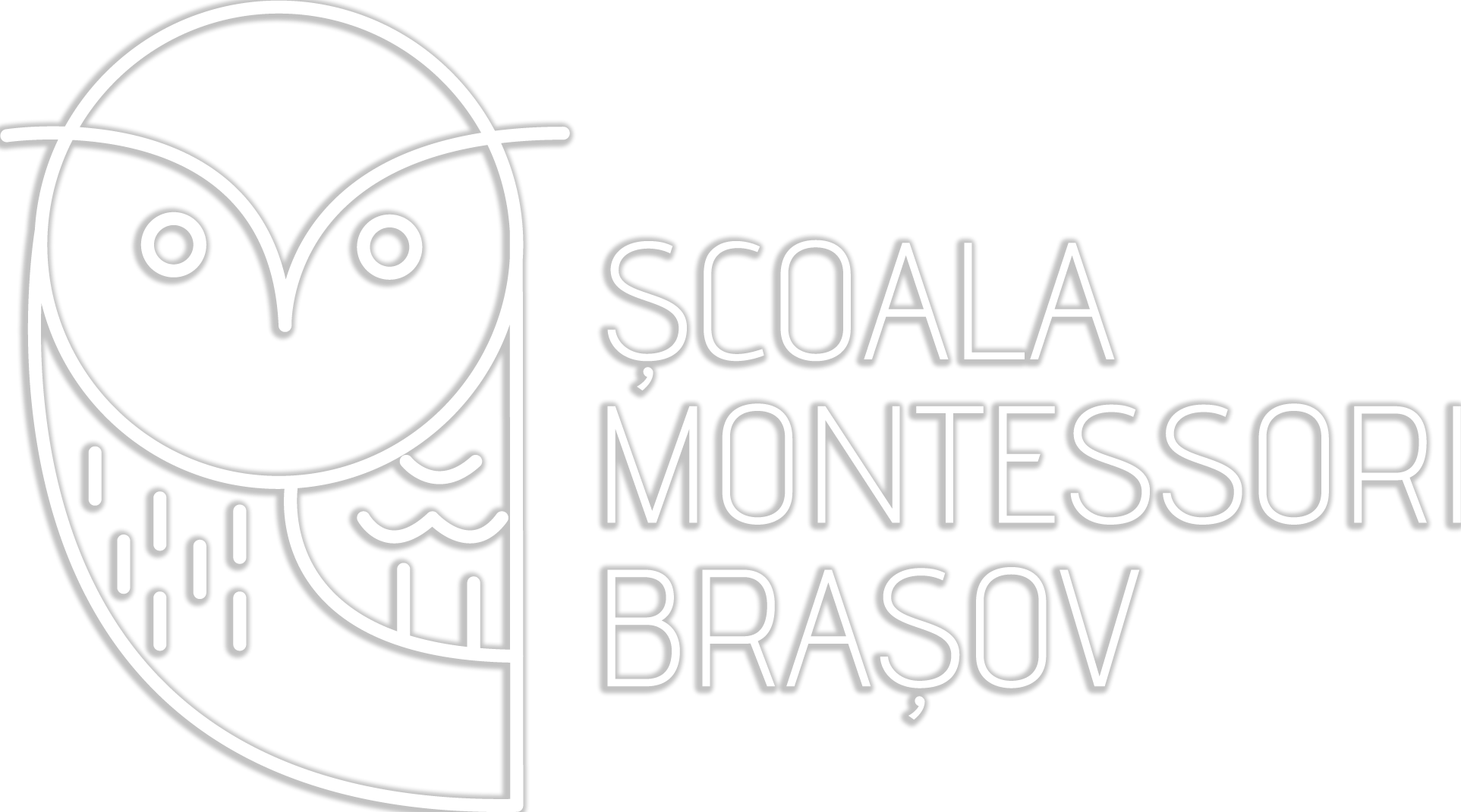 Scoala Montessori Brasov